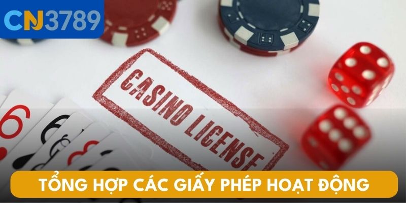 Tổng hợp các giấy phép hoạt động